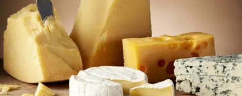 咸奶酪是什么 咸奶酪是什么意思
