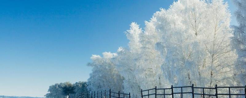 怎么形容下雪天的美景 形容下雪了美景的句子