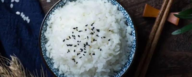 一个人的米饭需要多少水和米 一人份米饭需要多少米和水