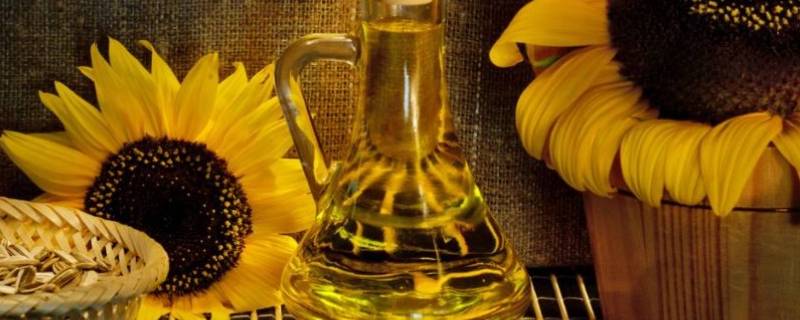 山桐子油是不是食用油 山桐子油的功效与作用