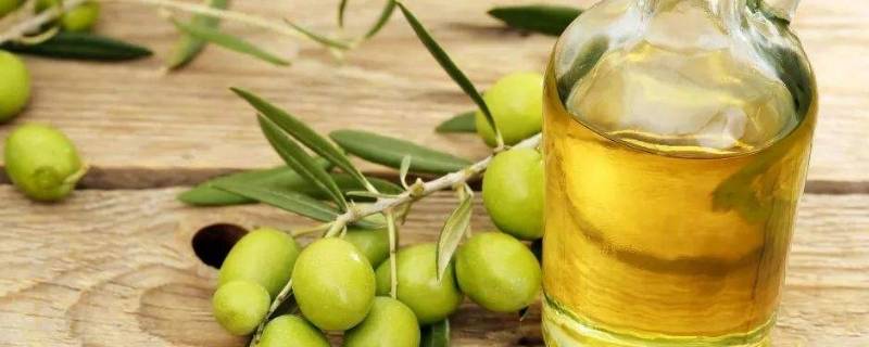 精炼橄榄油与初榨橄榄油的区别（精炼橄榄油与初榨橄榄油的区别在哪）