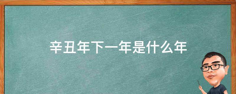 辛丑年下一年是什么年（辛丑年下一年是什么年怎么读）