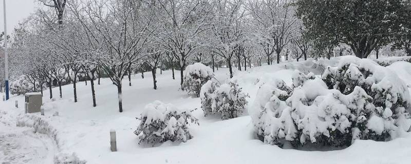 干雪和湿雪的区别（雪是干的还是湿的）