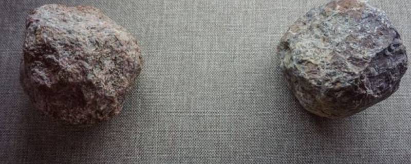 在旧石器时代石球是一种什么工具（旧石器时代石球的使用方法）