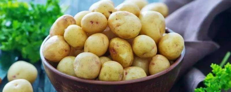 切开的土豆怎么保存 切开的土豆怎么保存不会黑