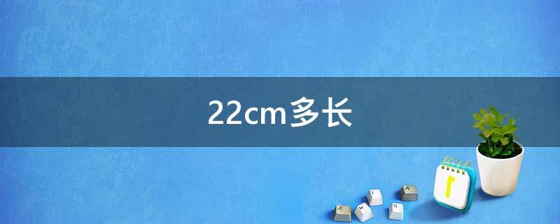 22cm多长 22cm多长握在手里