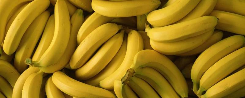 香蕉吃不完可以做什么美食 香蕉吃不了可以做成什么好吃的
