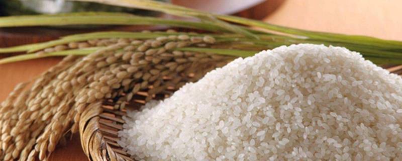 大米生产标准（大米生产标准代号）