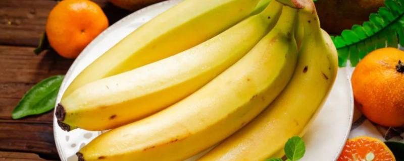 香蕉开花到成熟要多久 香蕉开花到成熟要多长时间