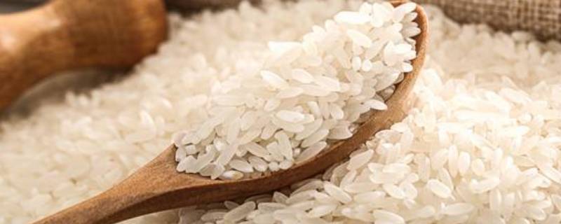 丝苗米是什么米 丝苗米是什么米怎么样