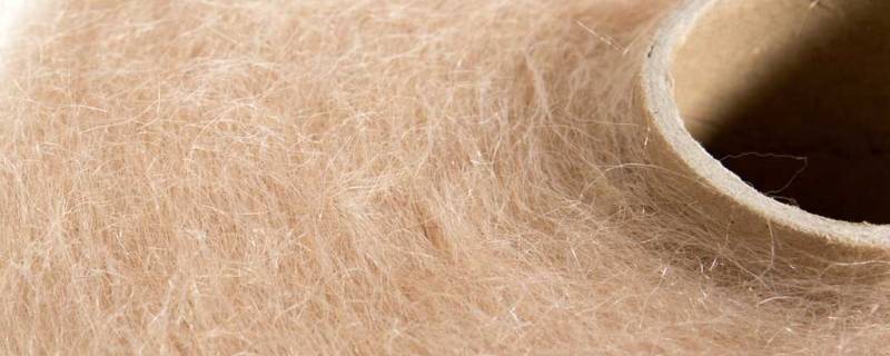 马海毛是什么毛 马海毛是什么毛图片