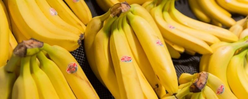 香蕉几月份成熟期 香蕉在什么时候成熟期
