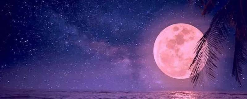 中秋之夜的月相是什么 月夜是描写中秋节的吗