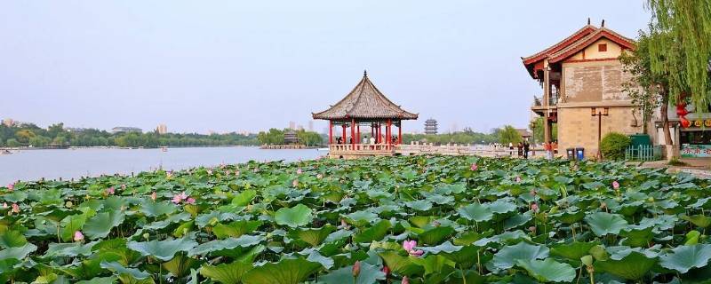 大明湖离哪个火车站近 大明湖火车站离大明湖有多远