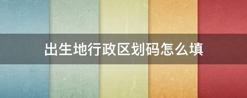 出生地行政区划码怎么填 出生地行政区划分代码怎么填写