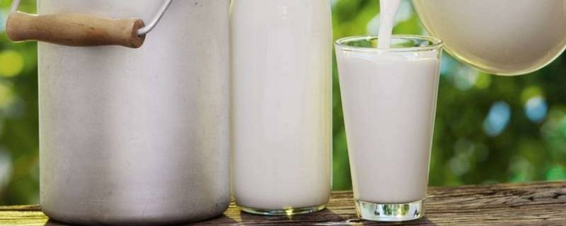 厚牛乳和鲜牛奶有什么区别 厚牛乳和鲜牛乳