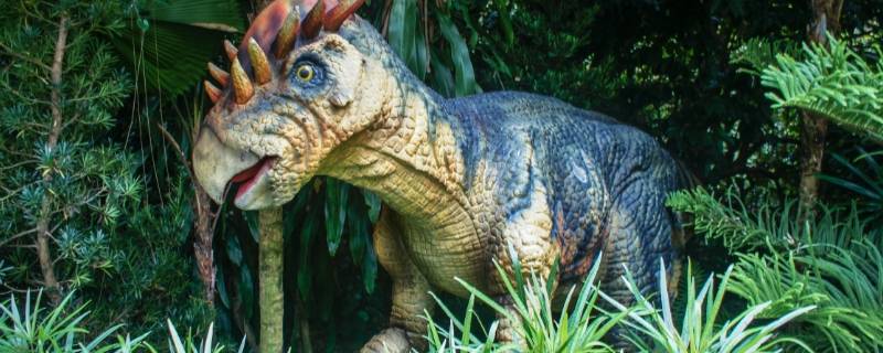 爬行类的恐龙主要生活在什么年代 爬行类的恐龙主要生活在什么年代中