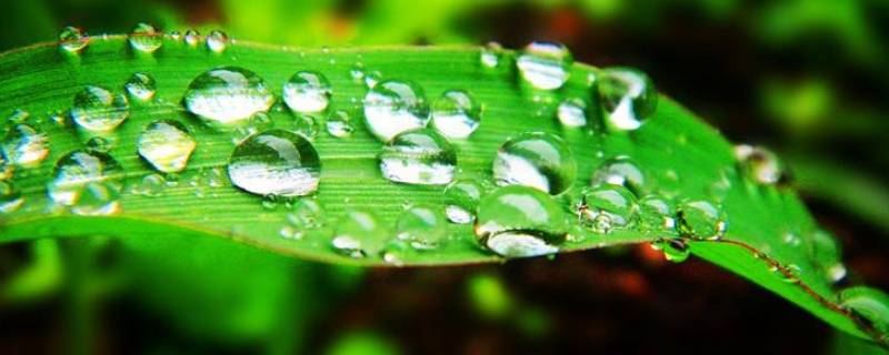 10月份晚上有露水吗（10月份几点有露水）