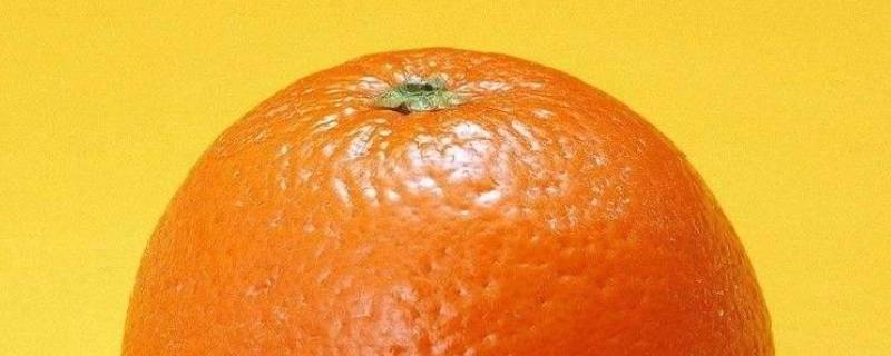 橙色代表什么寓意和象征意义 橙色象征意义是什么