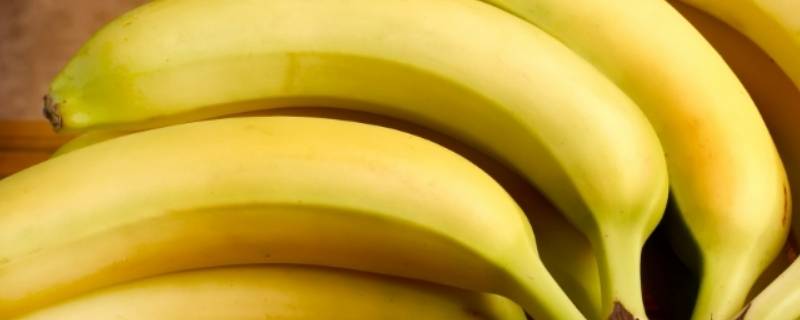 香蕉是水果吗 香蕉是水果吗用日语怎么说