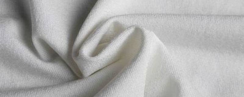 棉纶属于什么类型的纤维 棉纤维属于什么纤维