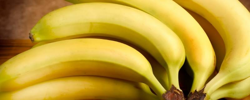 现在吃的黄色香蕉怎么来的 现在吃的黄色香蕉怎么来的,优选优育,意外来的