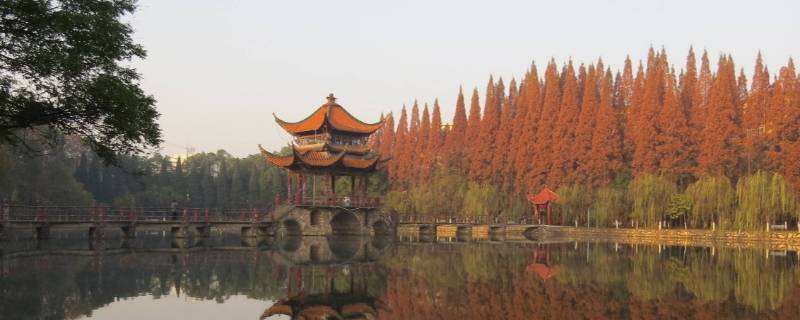 杭州西湖上有三座小岛分别是 杭州西湖上有三座小岛分别是哪三种