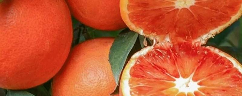 血橙是几月份的水果 血橙几月份结果