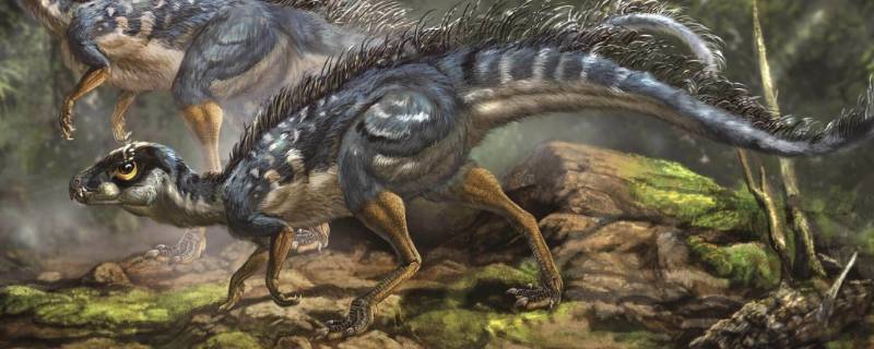 恐龙繁盛的地质年代是什么年代 恐龙繁盛的地质年代是啥?