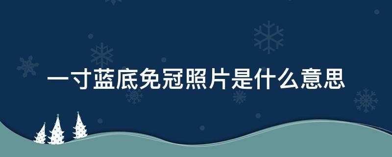 一寸蓝底免冠照片是什么意思 1寸蓝底免冠照片