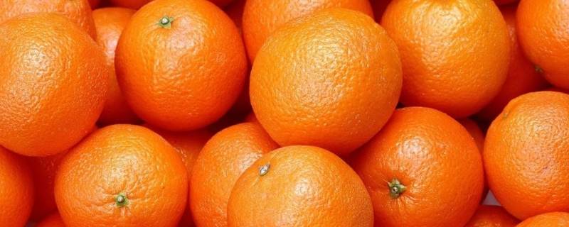 橙子寓意（橙子寓意 橙子代表什么象征意义）