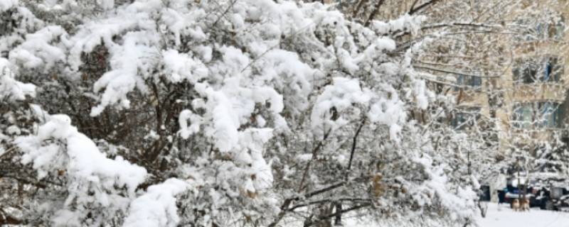 雪是什么状态 雪是什么状态的水