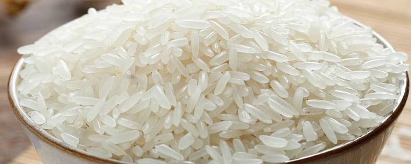 长粒大米是什么米（长粒的大米是什么米）
