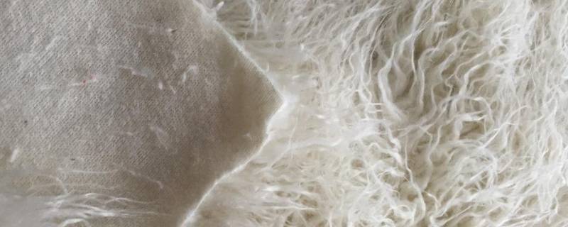 滩羊毛是属于什么毛（滩羊毛是什么羊身上的毛）