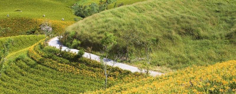 芈月山在什么省 芈月山在什么省?