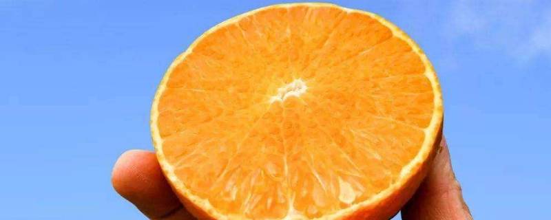 果冻橙是热性还是凉性（果冻橙是凉性水果还是热性水果）