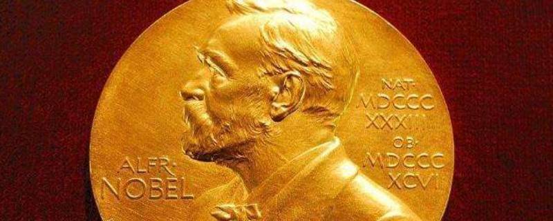 诺贝尔有几个奖 诺贝尔奖有哪几个