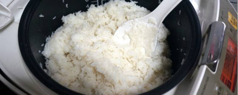 米饭放电饭锅里一晚上会坏吗 米饭放在电饭锅里一晚上会坏吗