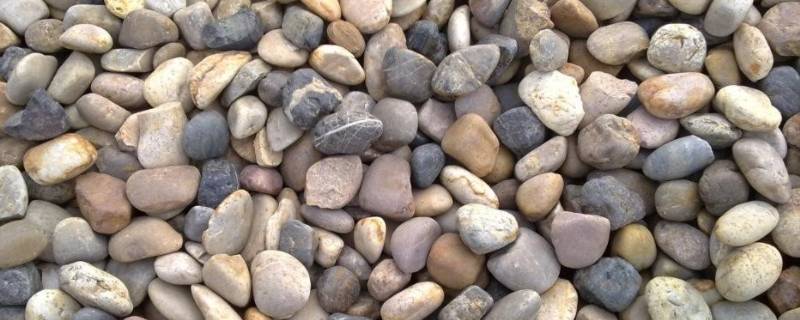鹅卵石是岩石吗（鹅卵石属于哪种岩石）