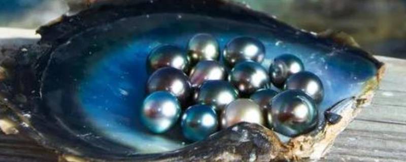 大溪地珍珠是哪里产的 什么叫大溪地珍珠