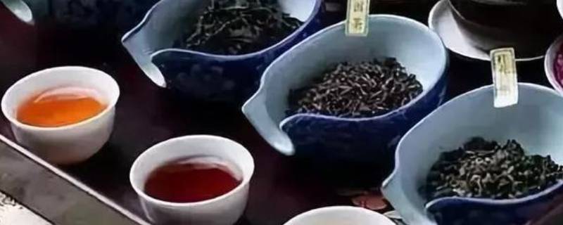 茶的品种有哪些 武夷岩茶的品种有哪些
