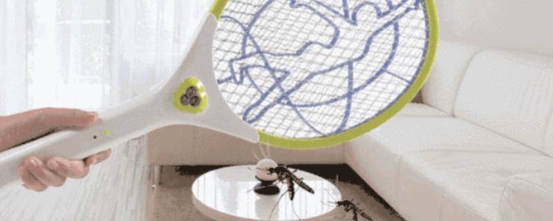 蟑螂为什么不能用电蚊拍 蟑螂用电蚊拍有用吗