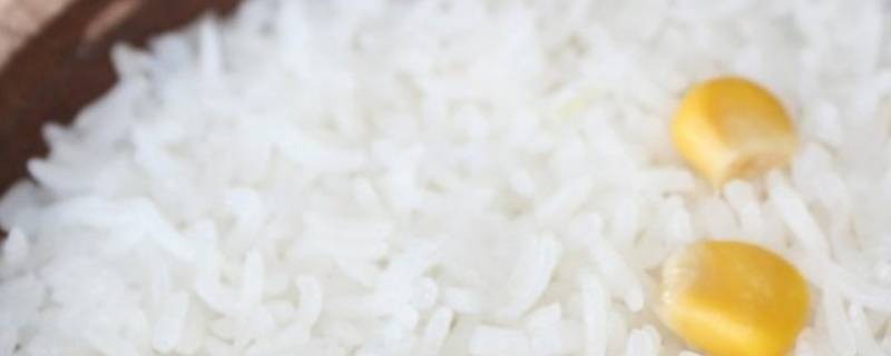 做米饭米和水的比例是多少 用电饭煲做米饭米和水的比例是多少