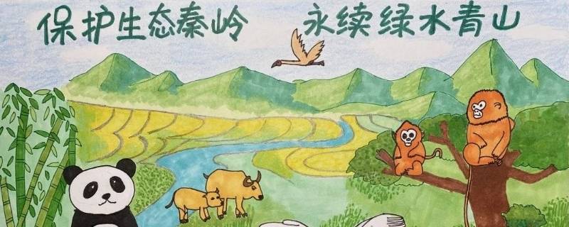 关于秦岭保护的内容（关于保护秦岭的资料简短）