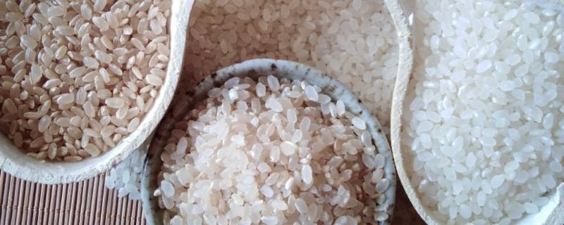 精米是什么米 日本的精米是什么米