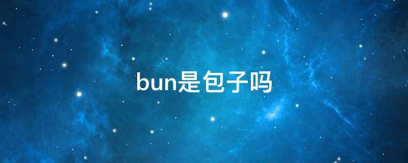 bun是包子吗 bun是包子的意思吗