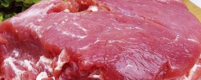 生肉冷冻可以保存多久 生的肉放冷冻保存多久