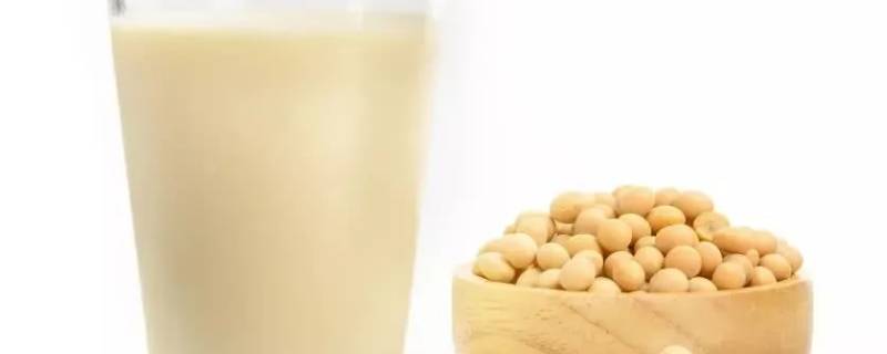 一杯豆浆含多少蛋白质 一杯豆浆的蛋白质含量是多少