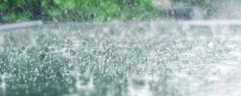 800毫米降雨量有多大（降雨量800mm）