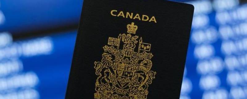 加拿大签证照片尺寸要求（加拿大签证照片尺寸要求2021）
